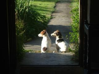 Lower Severalls Farmhouse - 1