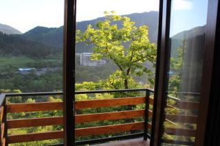 Likani-house's Cottage - Borjomi - 5