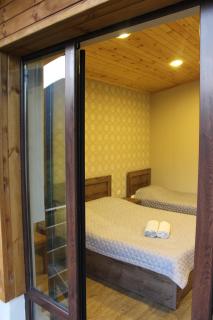Likani-house's Cottage - Borjomi - 3