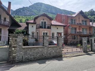 VILA ANA - Băile Herculane - 1