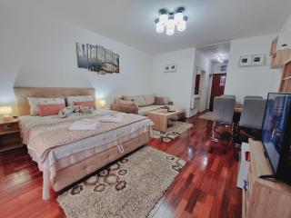 Apartman Temida Lux - Vrnjačka Banja - 8