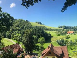 Haus Sigmund - Oberharmersbach - 6