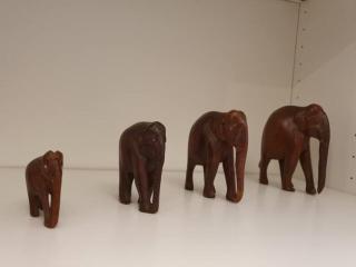 Zanobi 66 - Firenze - 3