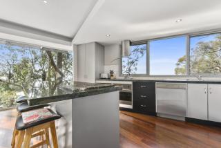 Bluegums at Lorne - Lorne - 7