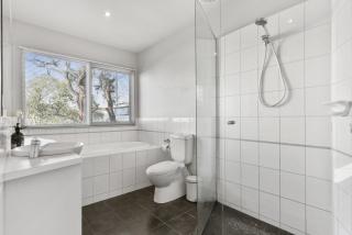 Bluegums at Lorne - 3