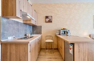 Studio Apartment NFT New Gudauri 108 - 7