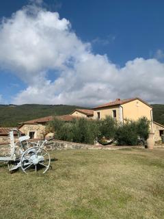 Podere le Mulina - Castiglione dʼOrcia - 8