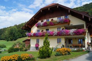 Gesundheitshof Lohninger - Mondsee - 9