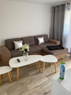 Jolie studio en plein centre de Cannes la Bocca - Cannes - 0