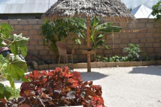 New Arisen Bungalows - Bwejuu - 7
