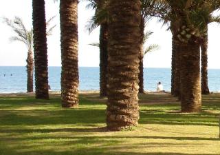 Torremolinos Apartment in MÁLAGA SUN & BEACH - Torremolinos - 6