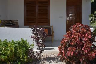 New Arisen Bungalows - Bwejuu - 6