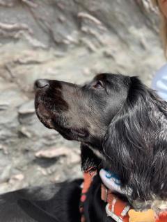 Coombe Park - Retreat - 5