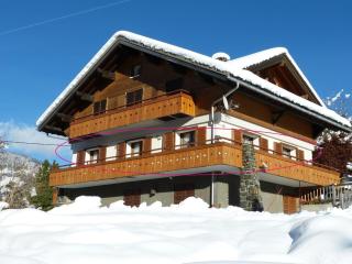 3***, proche pistes, ensoleillé, Wi-Fi, parking - FR-1-304-183 - La Clusaz - 8