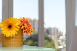 Nona Mileva Apartment - Pula - 3