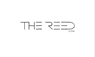 Reed by Linde - Maria Wörth - 9