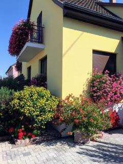 ALSACE Gite jardin garage motos vélos près Colmar Eguisheim - Oberhergheim - 9