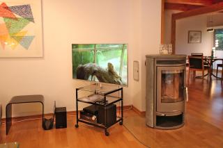 Am Gruenstreifen 29_ Haus Liguster - Wyk auf Föhr - 4