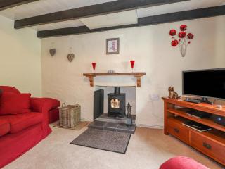 Panteg, Cardigan - Cardigan - 9