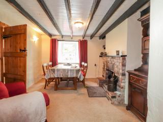 Panteg, Cardigan - Cardigan - 4