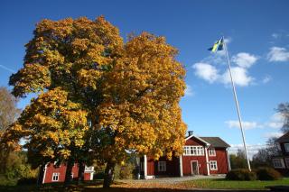 Nyhyttans Kurort - 3