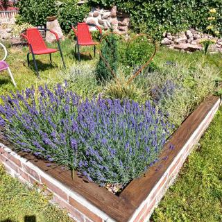 Ferienwohnung Wettin - 4