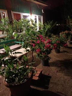 Canario Bungalows - 8