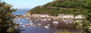 Rosebud cottage Romantic cottage for a couple - Fishguard - 1
