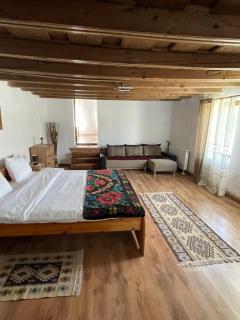 Casa de Vacanta FAMILY & FRIENDS - Criţ - 1