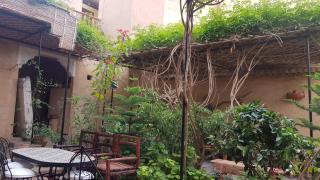 Oasis de Tiout - 8
