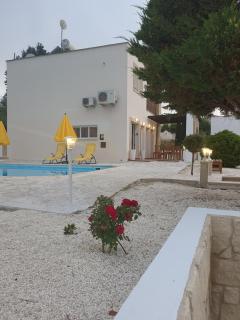 VILLA SERAPHO - Paphos - 5