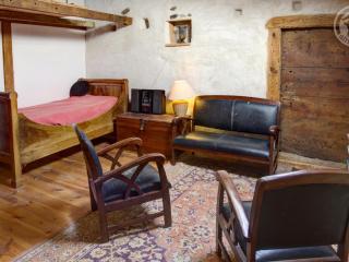 Gîte cosy avec jardin, terrasse ombragée, poêle à bois, et équipements bébé à Saint-Georges-Haute-Ville - FR-1-496-191 - Saint-Georges-Haute-Ville - 1