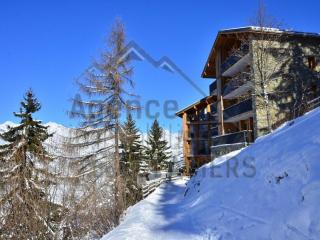Appartement récent 4 pièces, 2 terrasses, parking couvert, pied des pistes - FR-1-329-72 - 2