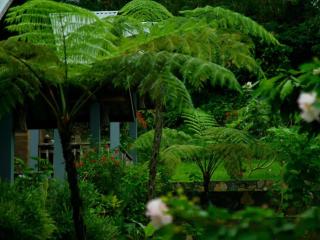 The Geckos Homestay - Kelimutu - 5