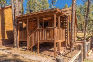 Forest Cabin 1 Hunters Blind - Payson - 9
