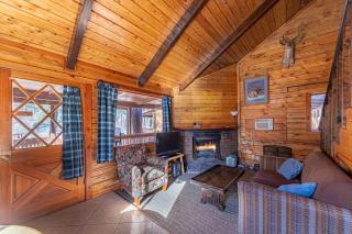 Forest Cabin 1 Hunters Blind - 7