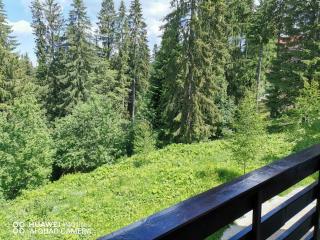 Antonia, Apartament Predeal - Predeal - 9