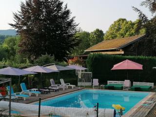 Le domaine de shania - Provenchères-sur-Fave - 7