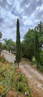 maison dans un écrin de chênes provençale - 0