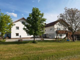 Landhaus-Stockinger - Büchlberg - 9