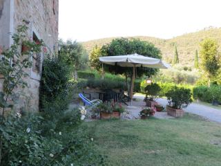 Oliveto di Teodora - Tuoro sul Trasimeno - 9