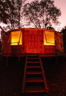 Purling Brook Falls Gwongorella - 3