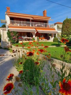 Casa Croatia - Punat - 0