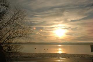 Wald- und Seeblick Camp Zislow - Zislow - 2