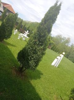 Pensiunea Daiadela - 3