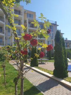 Seaside 1-BR Apartment with Pool Access - Byala - 9