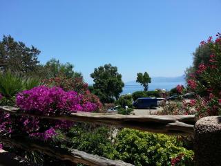 Costa Dorada - 1