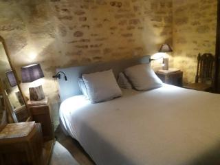LE LOFT DE LA SALAMANDRE SARLAT - Sarlat-la-Canéda - 6