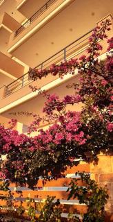 Vila Kea - Saranda - 7