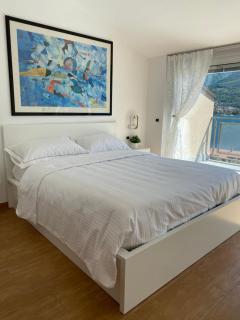 Le Terrazze sul Lago di Como - Oliveto Lario - 3